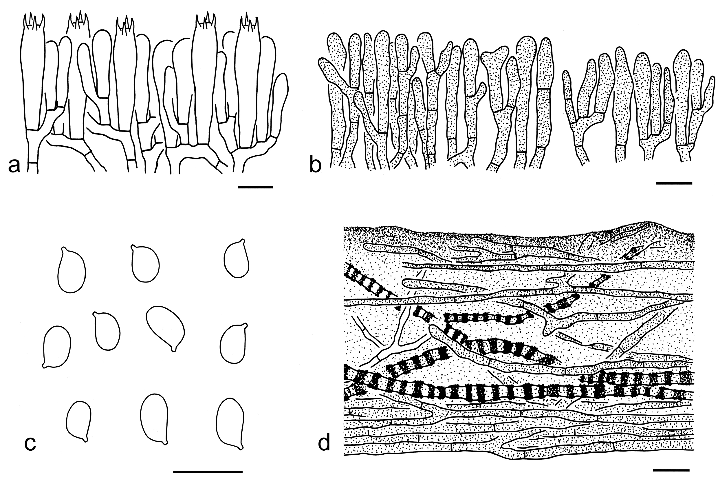 Figure 50